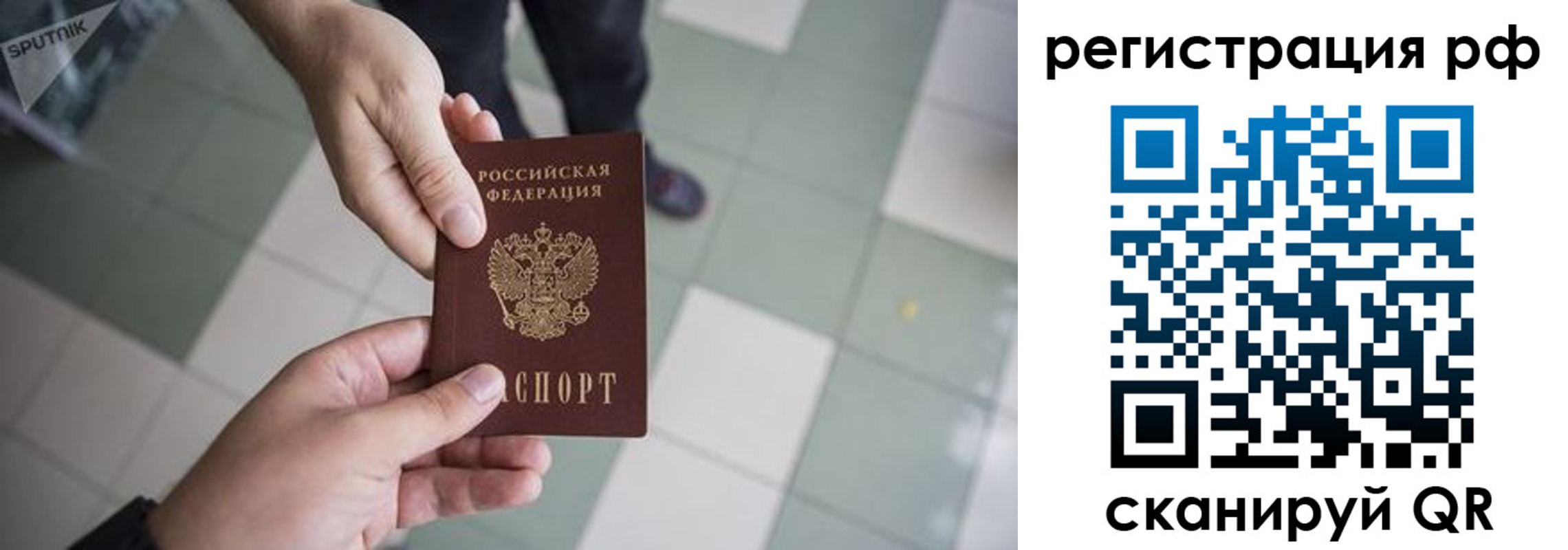 прописка гарантия в Алексеевке