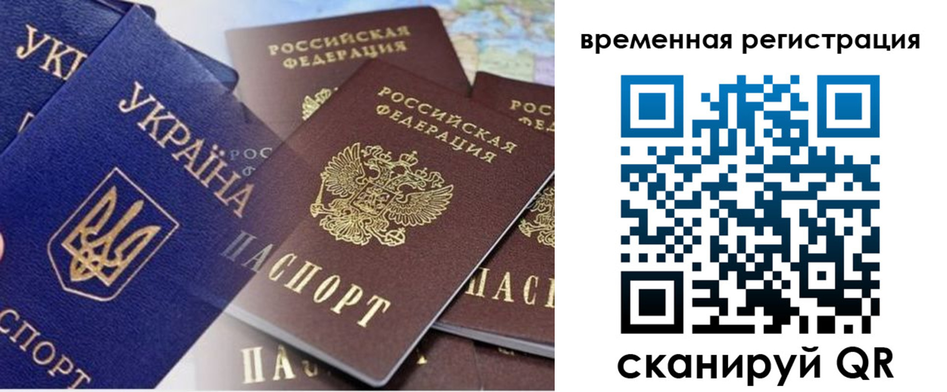 временная регистрация поиск в Алексеевке